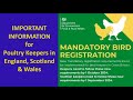 Mandatory Poultry Registration changes for England, Scotland & Wales 2024