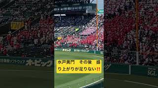 水戸黄門　その後　盛り上がりが足りない‼️  土浦日大　応援📣　VS  九州国際大付　高校野球　甲子園　2023年8月12日(土)