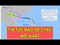 Cập nhật 23h ngày 6/9/2024 | Bản tin thời tiết Hải Phòng mới nhất