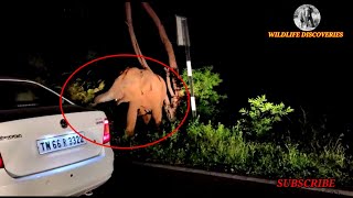 The just escaped Car from Elephant Attack !!! || யானையிடம் இருந்து நுனியில் தப்பிய கார்