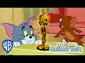 Tom & Jerry | Oscar Winning Shorts 🏆 | Classic Cartoon Compilation | WB Kids