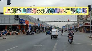 上海宝山区最大海鲜水产品市场，一天都逛不完~街拍/街景