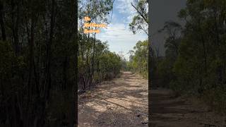 Summer Bushwalk Explore South Australia #explore #hike #adventure #walking #nature#outdoors#country