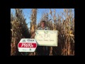 pioneer northern yield hero results