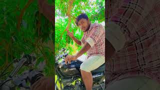 #vlog