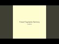 Forest Fragments Harmony