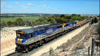 Aurizon Train Empty \u0026 then loaded at Tailem Bend Silos 5 Locomotives led by RailFirst CM3306 22/1/25