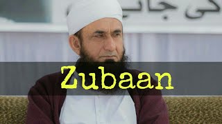 Tariq Jameel WhatsApp Status !! Zuban !!