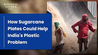 How Plates Made From Sugarcane Could Help India's Plastic Problem | World Wide Waste