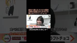 【告知】産地で異なるカカオの風味…夫婦が豆選びから手がける極上の「クラフトチョコ」