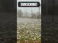 freak hailstorm in kakheti georgia 🌨️☔ shorts short fyp fypシ shortvideo ytshorts youtube