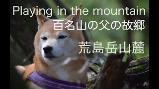 【日本百名山⛰️荒島岳山麓の旅】山岳犬あおい🐕がみた久弥の記憶_精霊の住む森🧚に身を委ねた時、登山犬あおいと犬馬鹿が思い描くその先は。。。