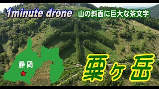 【1min. drone #83】静岡県掛川市・粟ヶ岳～山の斜面に大きな茶文字～