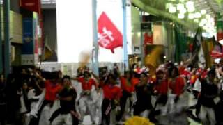 三重情熱組　四日市よさこい祭り2009