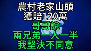 農村老家山頭獲賠120萬，哥哥說兩兄弟一人一半，我堅決不同意【花好月圓心語】