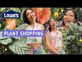 PHILODENDRON HAUL 🥰🛍️ Fun houseplant shopping at Lowe's and Home Depot in Southern California 😄