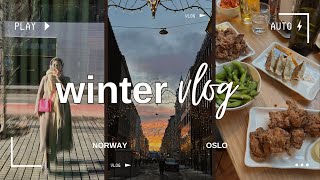 WINTER IN OSLO | прогулки | лыжи | заказал hello fresh | книжный клуб и арт лекция| норвегия vlog