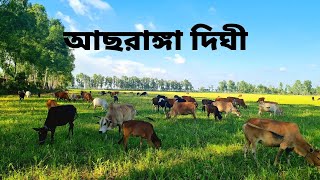 Aachranga Dighi |  আছরাঙ্গা দিঘী, Joypurhat |  BD Sohag Team | Vlogs Video 8