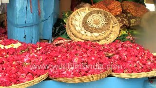 Flowers and religious offerings being sold outside Ajmer Sharif Dargah, Rajasthan