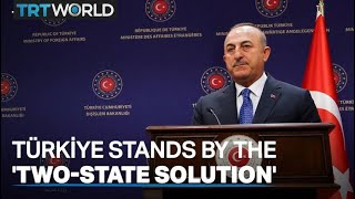Cavusoglu: Türkiye remains sensitive to 'two-state solution'