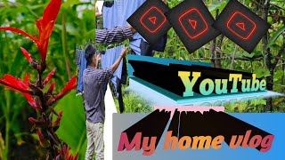 My home vlog channel /  मेरा होम वीलॉग चैनल