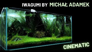 Iwagumi aquascape by Michał Adamek in Aqua Show💚