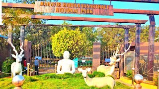 Mahavir Harina Vanasthali National Park | After Lockdown 2021| kirantelugutraveller |