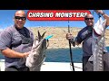 Saltwater Safari #7: MEGA BARRACUDA FISHING in GREECE!