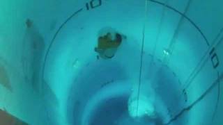 Submarine Escape Demonstration