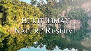 Bukit Timah Nature Reserve | Singapore's Highest Peak