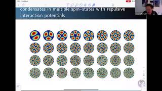 SN Partial Differential Equations and Applications Webinars - Susanna Terracini