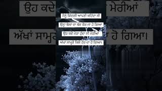 ਮੈਨੂੰ ਜ਼ਿੰਦਗੀ ਆਪਣੀ...Inew punjabi shayari status punjabi status #shorts #punjabi #youtubeshorts