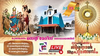 തിരുനാൾ കുർബാന |  2025 January 25  |  St.Mary's Church Peramangalam