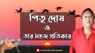 what is pitri dosh?? পিতৃ দোষ ও তার সহজ প্রতিকার|| Astrologer Sree Sandho