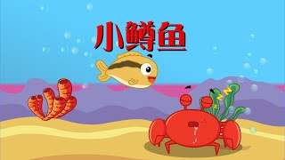 【可一儿歌】051 小鳟鱼丨KeYi Children's Song丨【三淼儿童官方频道】