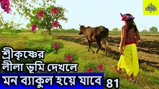 বৃন্দাবন ধাম,  এই দৃশ্য দেখে পাগল হবেন ।   বৃন্দাবন ধাম দর্শন, vrindavan tour guide in bengali,