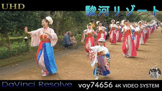 【シネスコ】駿河リゾート 桜並木会場 第三回Yosakoi富士山祭りin時之栖 remake ver.