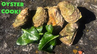 COASTAL FORAGING, Big Oyster Cook Up / The Sea life On The Shore !