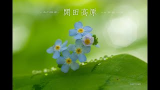 光の情景ー癒しの風景写真（４K )　NostalgiaーJudyestherーTouched By Love　PHOTO:Susumu Tanaka