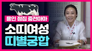 ★소띠 여성 띠별궁합★ 소띠 최고,최악의 궁합은?! 소띠와 띠궁합이 가장 잘맞는띠는?! 소띠궁합 소띠상극 띠궁합 소띠운세 띠별궁합 용인점집 중전마마