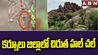 కర్నూలు జిల్లాలో చిరుత హల్ చల్ || ABN Telugu