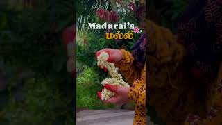 Madurai’s மல்லி! #reels #aesthetic #flower #malli #madurai #maduraimalli #aestheticvideos #mallipoo