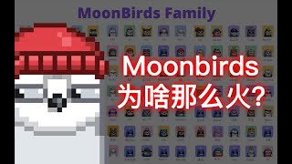 Moonbirds月鸟为啥那么火？值不值得购买？