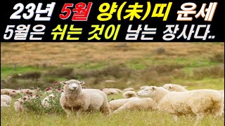 (5월 양띠 운세) 2023년 정사(丁巳)월 양(未)띠 들은 일을 해도 성과는 잘 나타나지 않는다/쉬는 것이 남는 장사다[행운의신사주풍수]