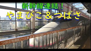 【東北新幹線連結！】やまびこ＆つばさが連結する瞬間（福島駅）