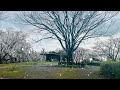 【asmr】そうか公園・環境音