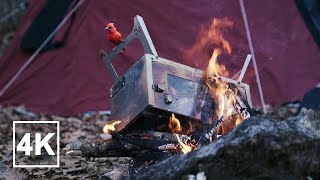 We Dropped the Wood Stove into the Campfire 🔥 Relaxing Camping by a Isolated Lake