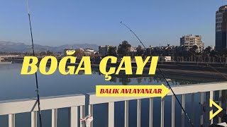 Boğa Çayı Balık Avlayanlar