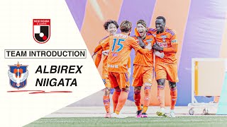 A Taste of Albirex Niigata: 2023 Meiji Yasuda J1 League Highlights