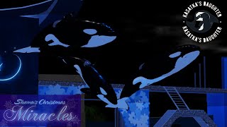 Shamu's Christmas Miracles!! -12/3/2023- (MMRC Seaworld Orlando Roblox)